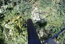 HBT shooting invasive weeds